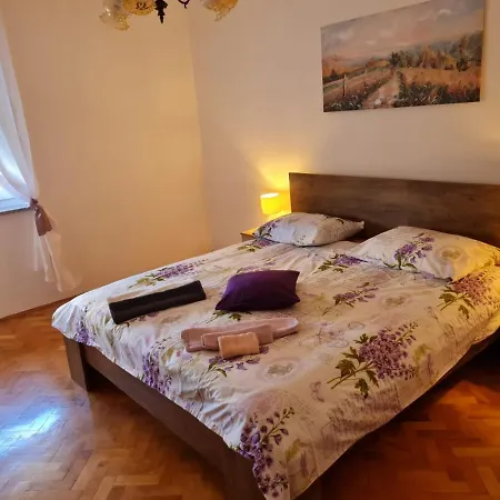 Apartman Antea شقة شيبينيك